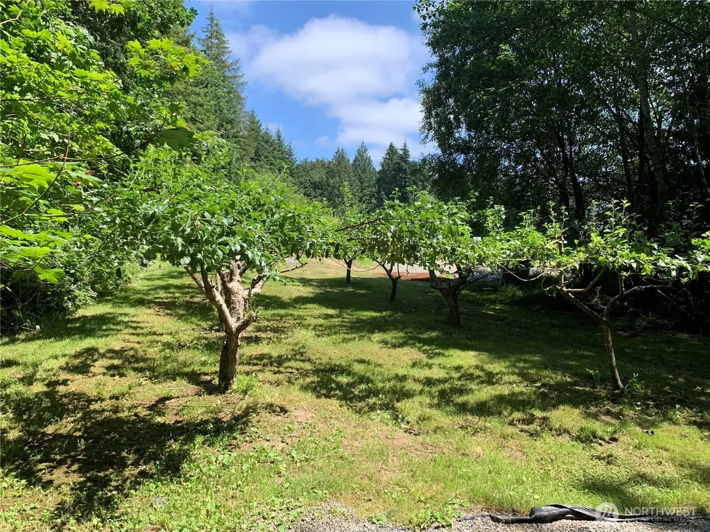 12832 Hunter Road SW Rochester WA 98579