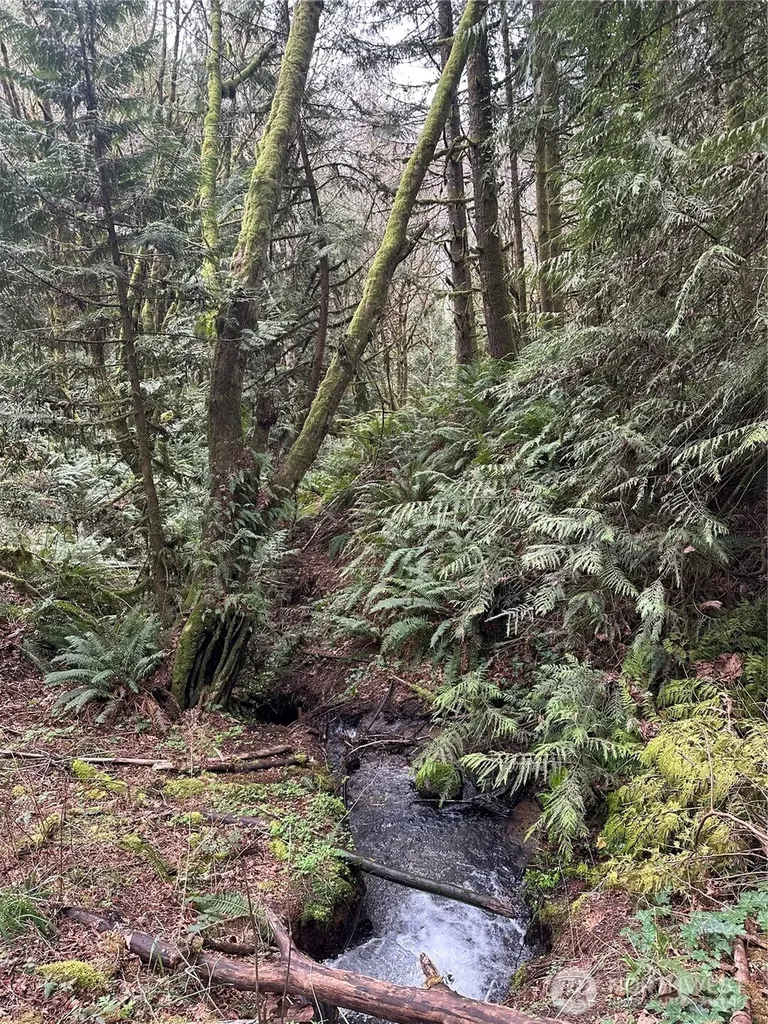 12832 Hunter Road SW Rochester WA 98579