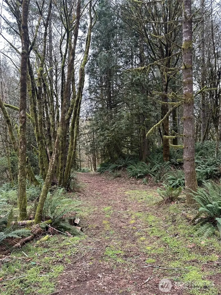 12832 Hunter Road SW Rochester WA 98579