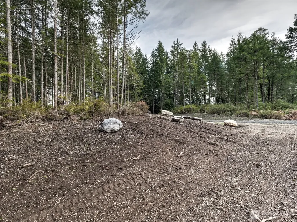 621 E Strong Road Shelton WA 98584