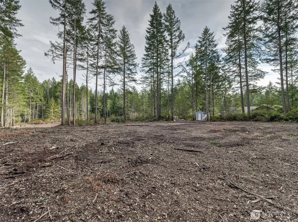 621 E Strong Road Shelton WA 98584