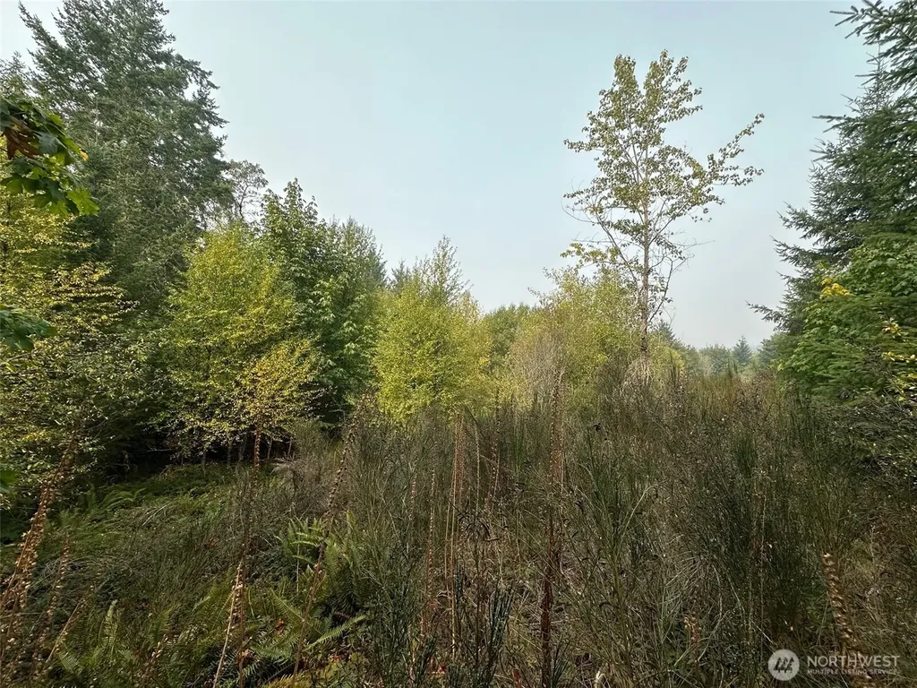 0 E Agate Road Shelton WA 98584