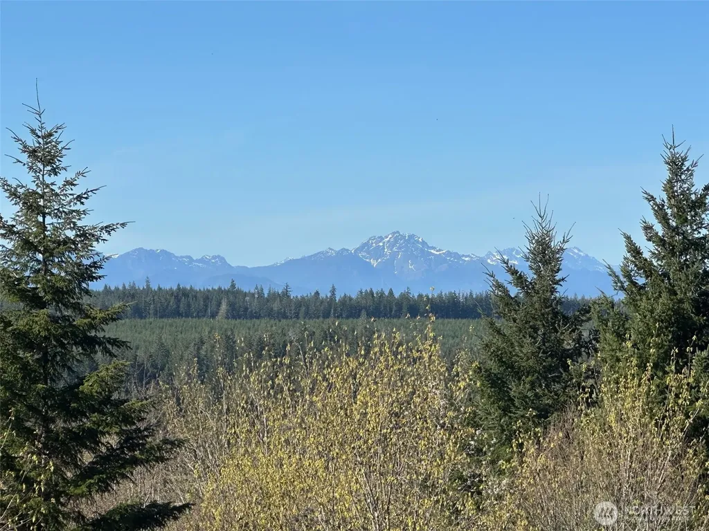 0 E Agate Road Shelton WA 98584
