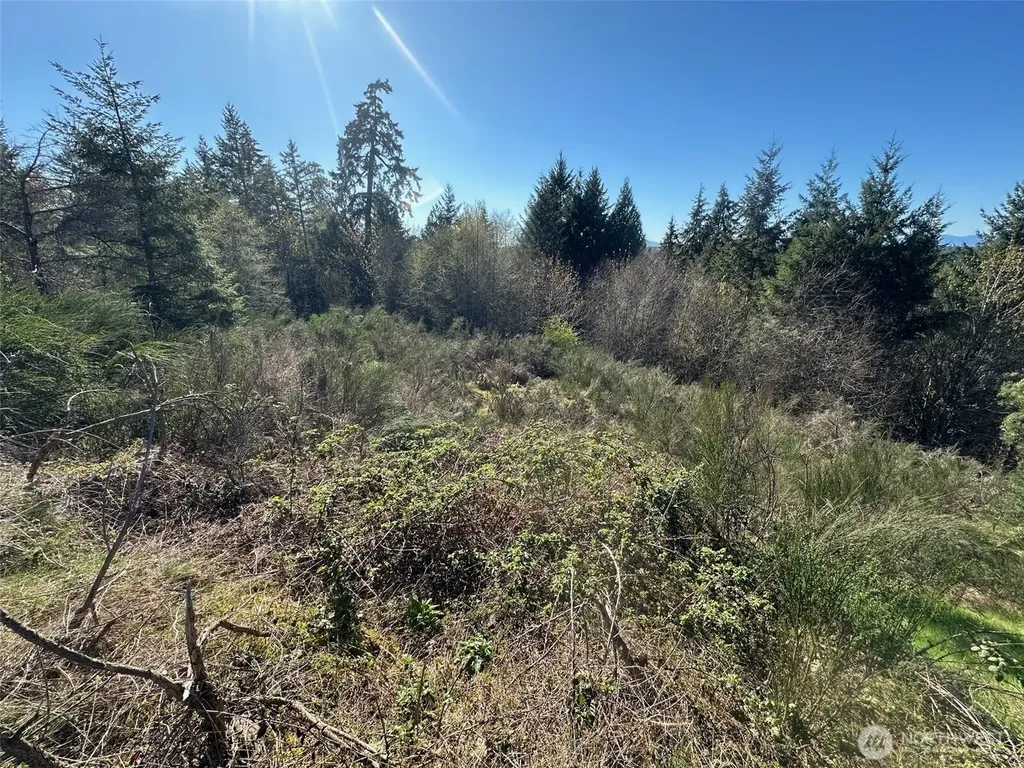 0 E Agate Road Shelton WA 98584