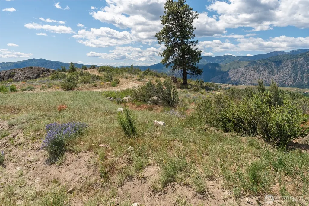 661 Glory View Lane Manson WA 98831