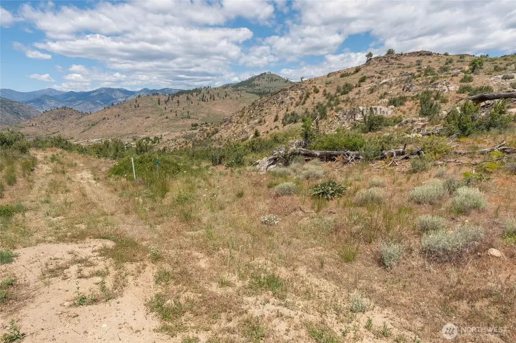 495 Glory View Lane Manson WA 98831