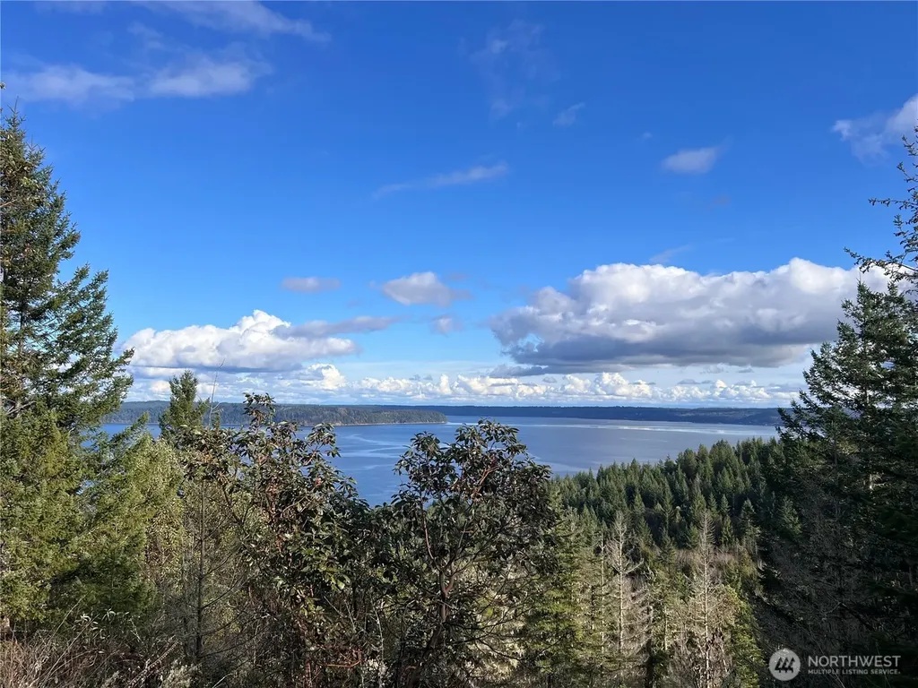 59 Moose Mountain Road Brinnon WA 98320