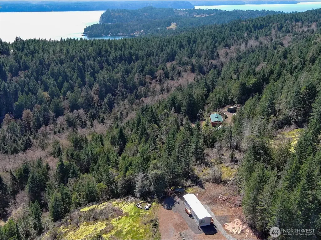 59 Moose Mountain Road Brinnon WA 98320
