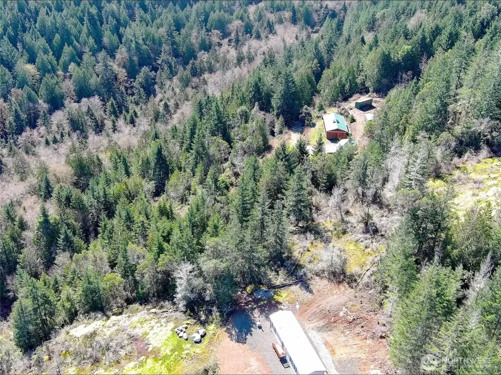 59 Moose Mountain Road Brinnon WA 98320