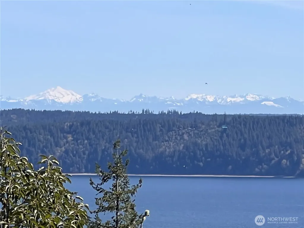 59 Moose Mountain Road Brinnon WA 98320