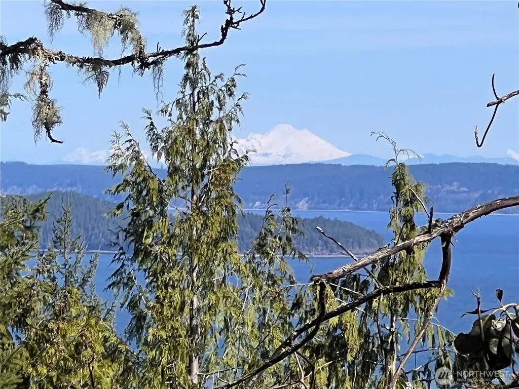 59 Moose Mountain Road Brinnon WA 98320