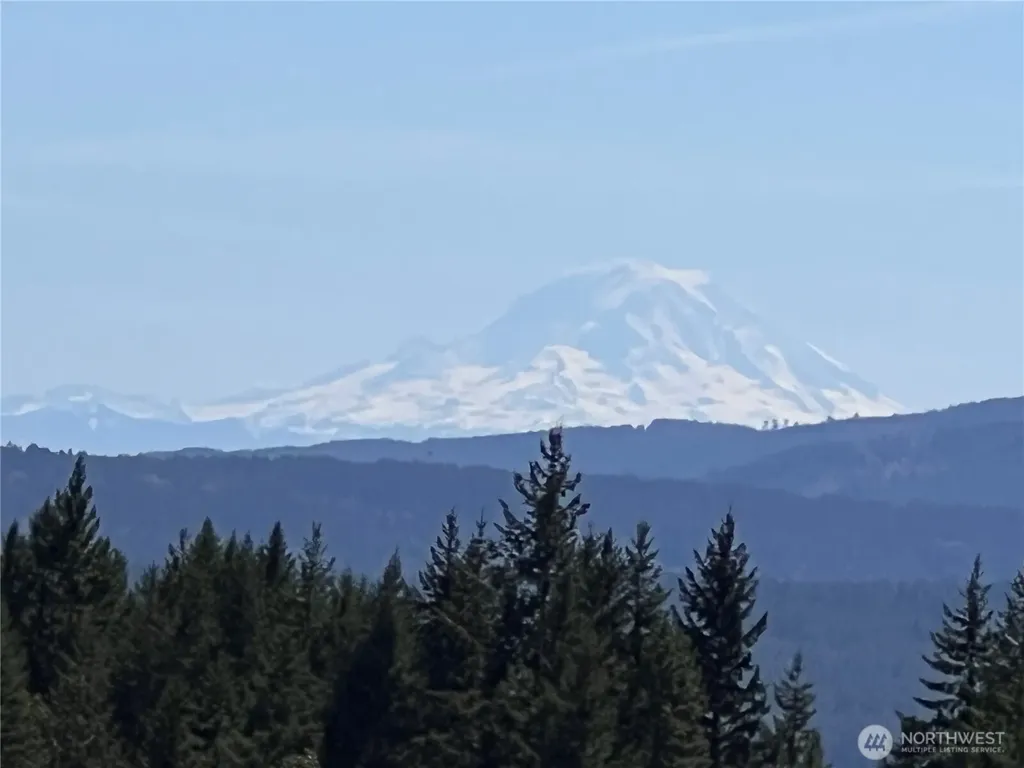 59 Moose Mountain Road Brinnon WA 98320
