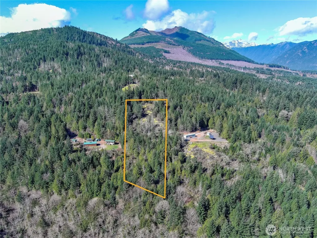 59 Moose Mountain Road Brinnon WA 98320