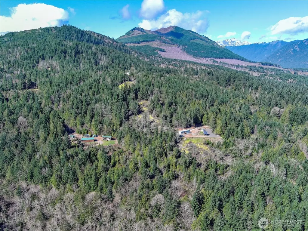 59 Moose Mountain Road Brinnon WA 98320