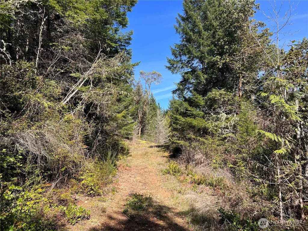 59 Moose Mountain Road Brinnon WA 98320