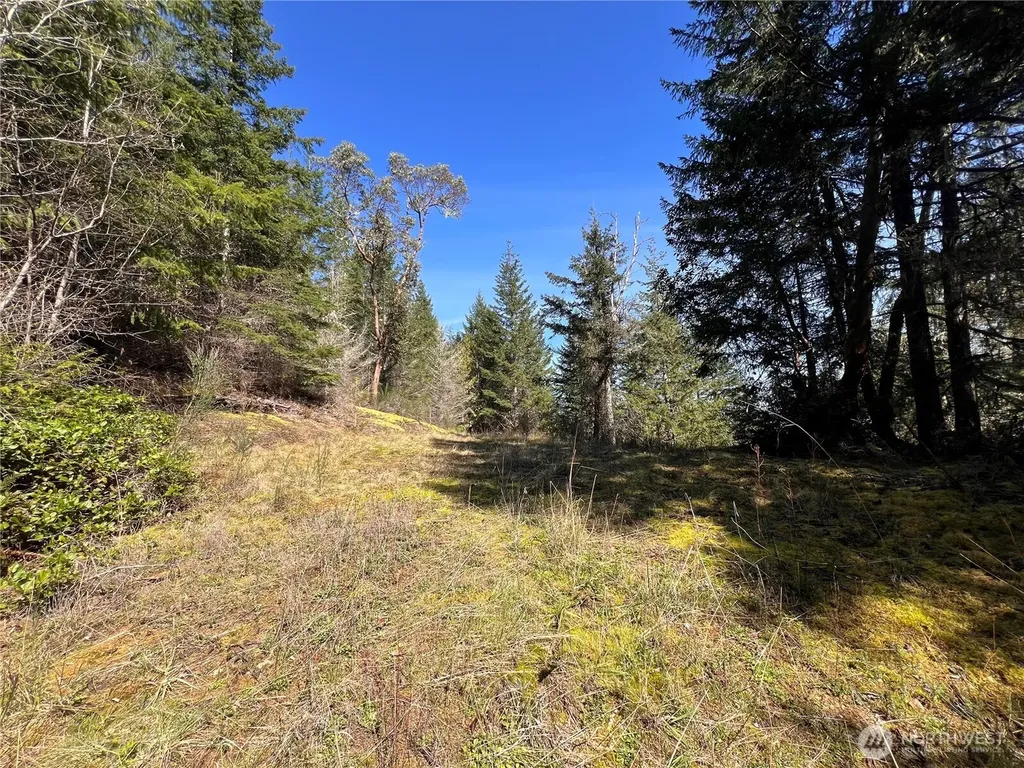 59 Moose Mountain Road Brinnon WA 98320