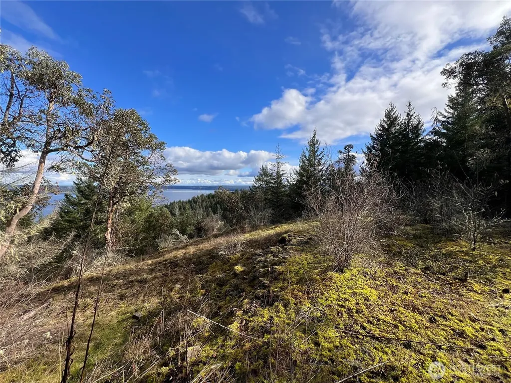 59 Moose Mountain Road Brinnon WA 98320