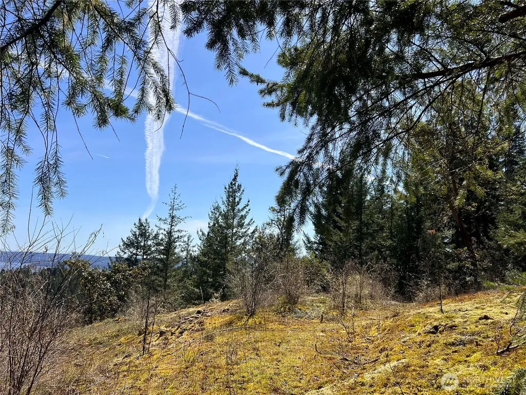 59 Moose Mountain Road Brinnon WA 98320