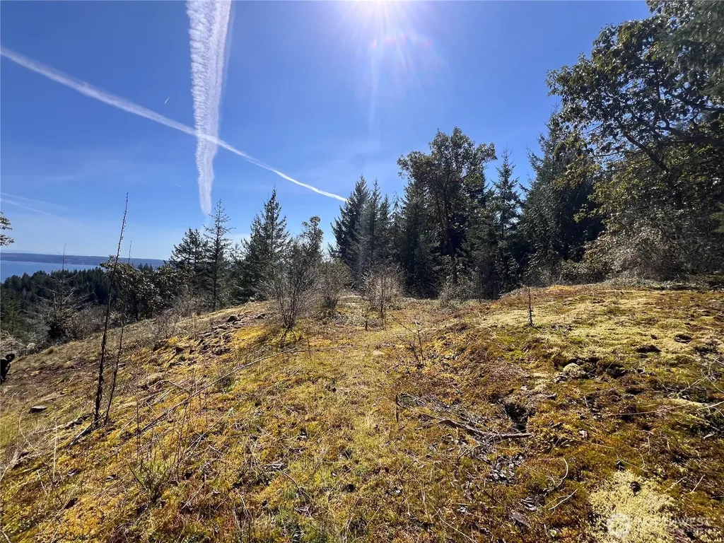 59 Moose Mountain Road Brinnon WA 98320