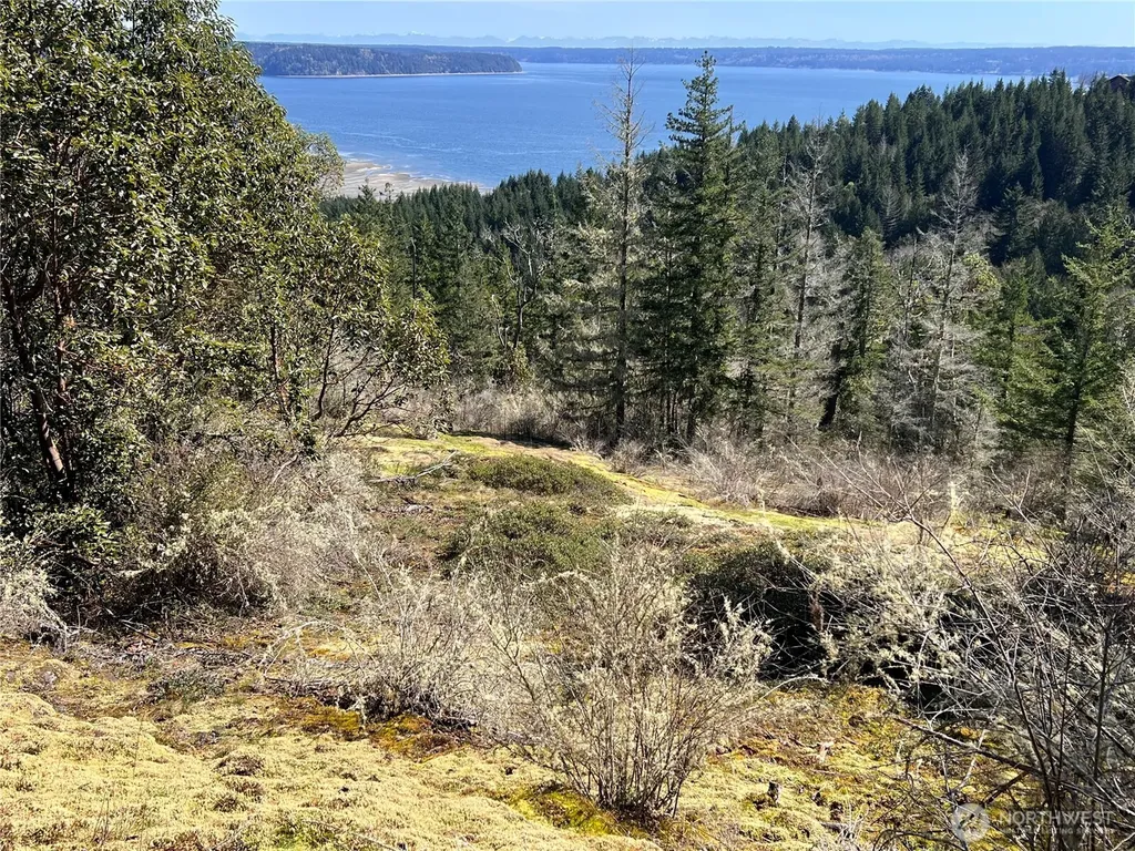 59 Moose Mountain Road Brinnon WA 98320