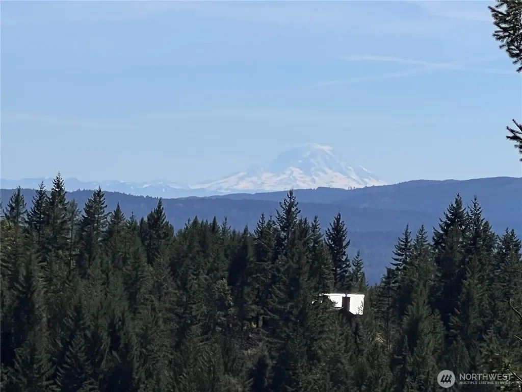 59 Moose Mountain Road Brinnon WA 98320