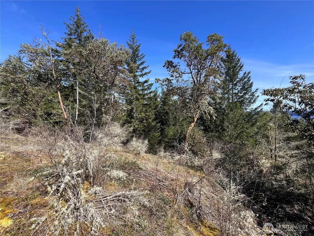 59 Moose Mountain Road Brinnon WA 98320