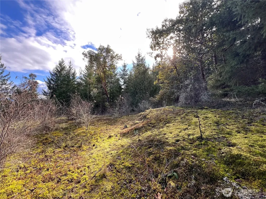 59 Moose Mountain Road Brinnon WA 98320