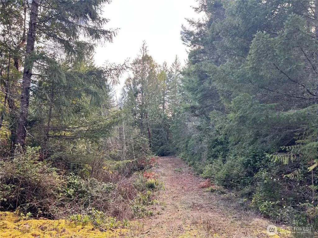 59 Moose Mountain Road Brinnon WA 98320