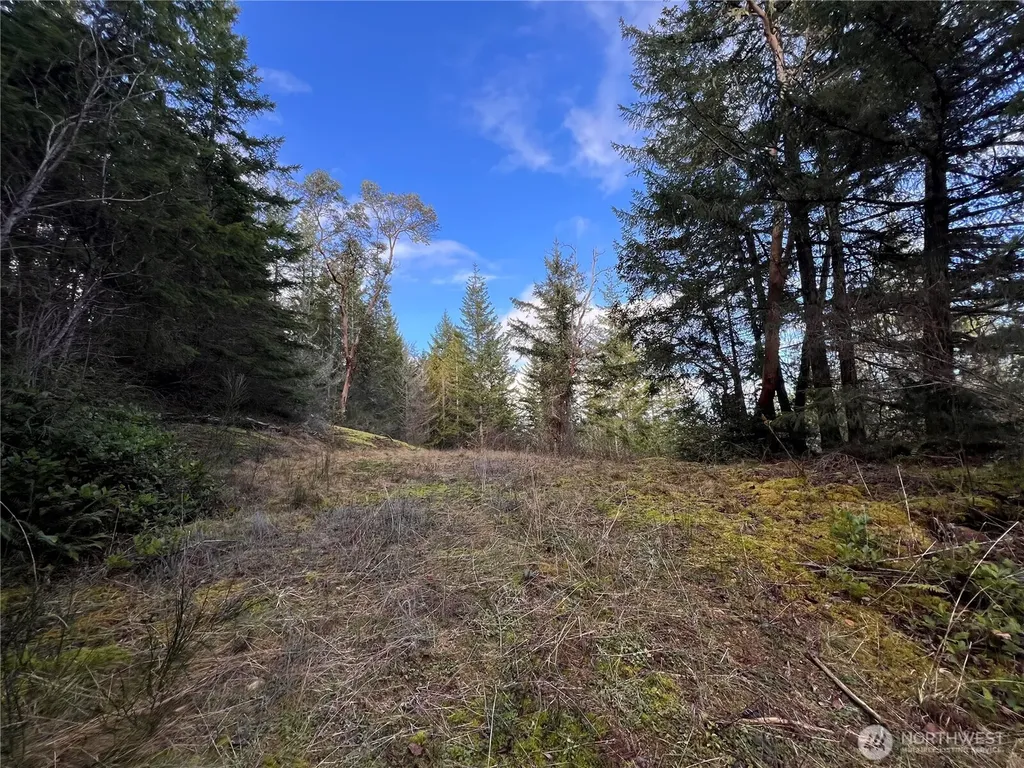 59 Moose Mountain Road Brinnon WA 98320