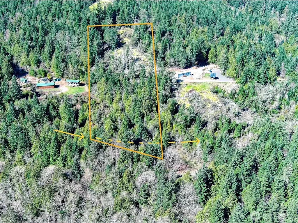 59 Moose Mountain Road Brinnon WA 98320