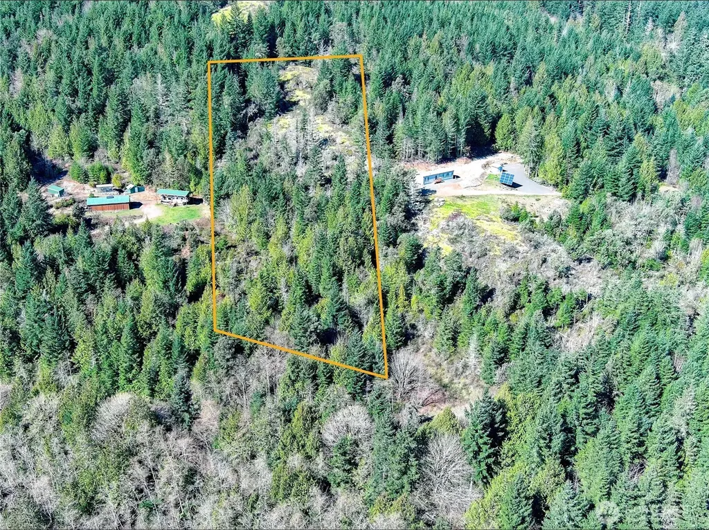 59 Moose Mountain Road Brinnon WA 98320