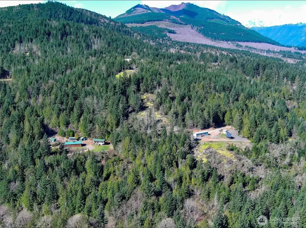 59 Moose Mountain Road Brinnon WA 98320