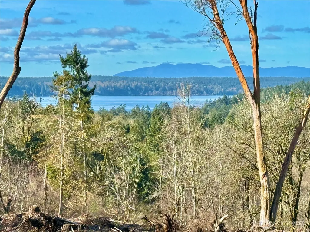 4324 183rd Avenue Ct SW Longbranch WA 98351