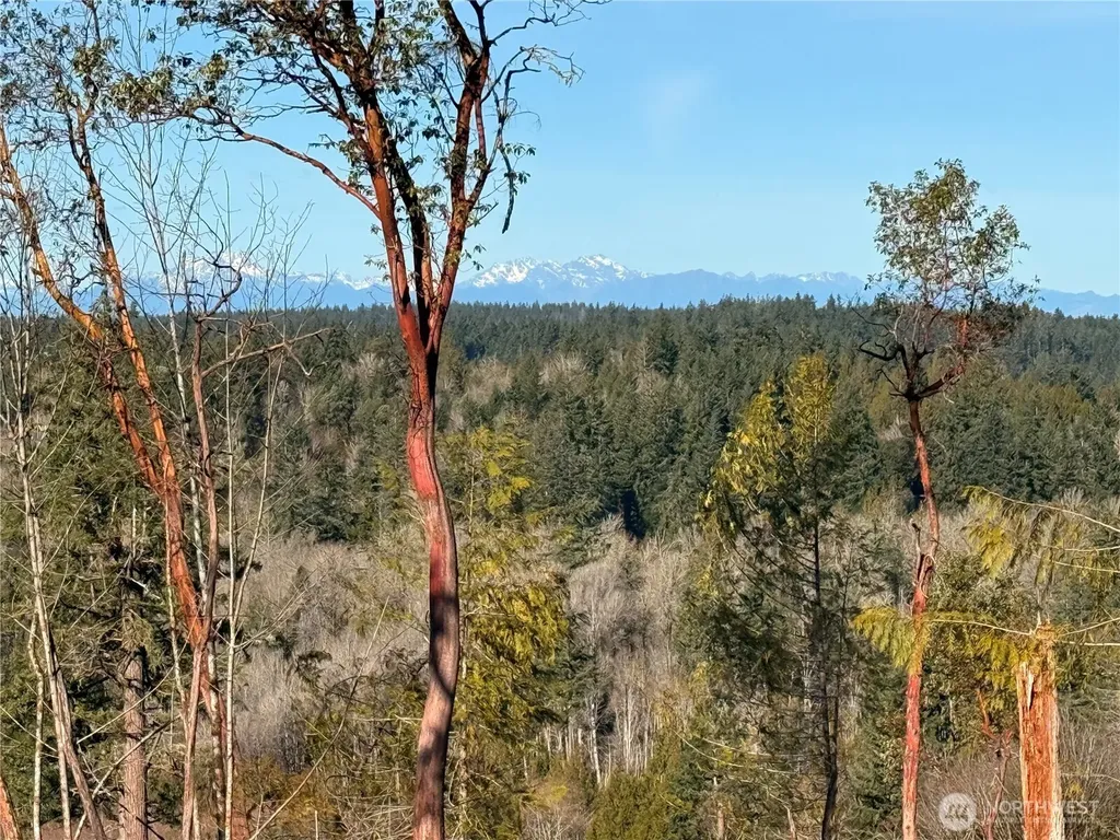 4324 183rd Avenue Ct SW Longbranch WA 98351