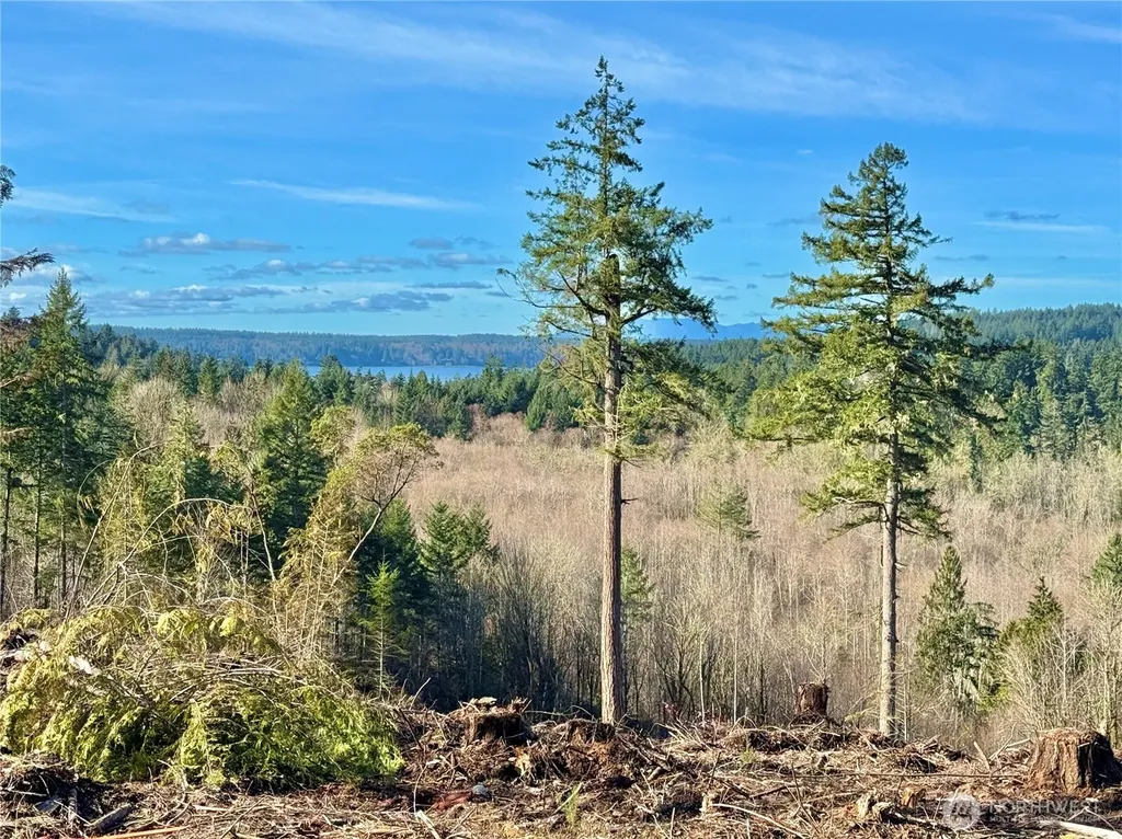 4324 183rd Avenue Ct SW Longbranch WA 98351