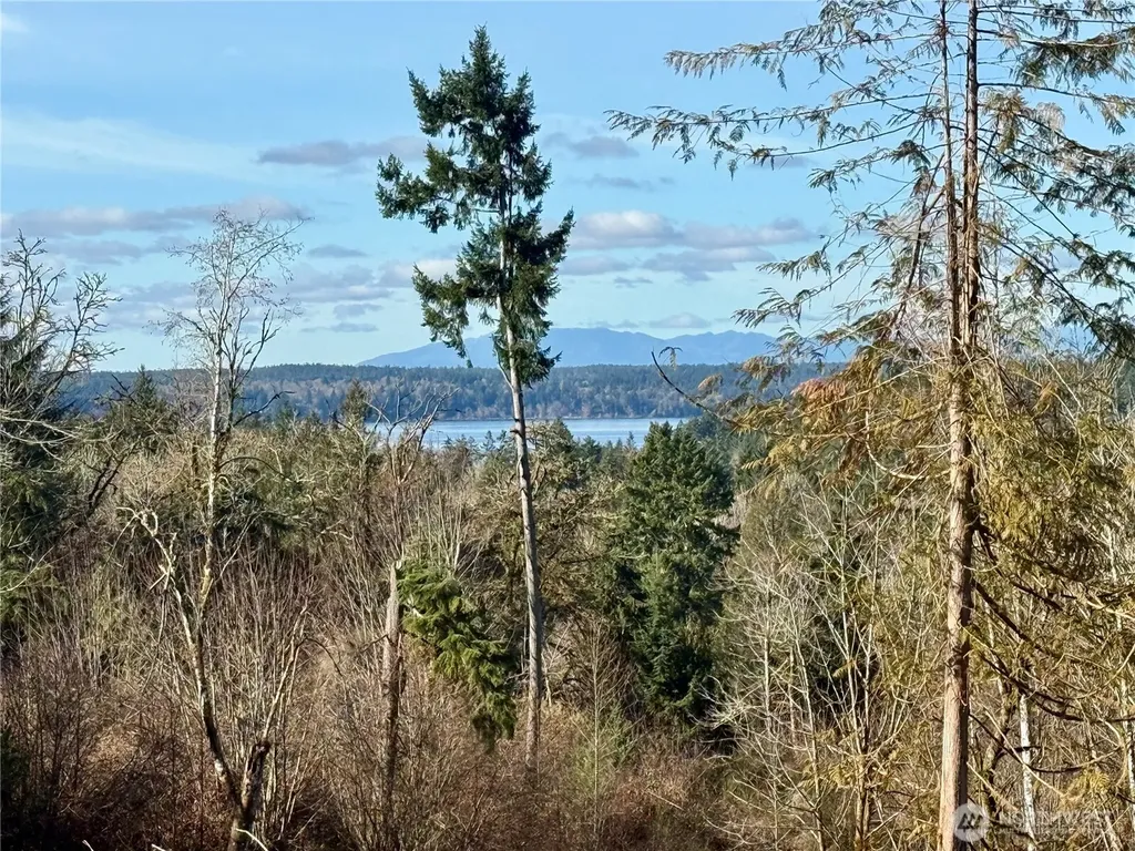 4324 183rd Avenue Ct SW Longbranch WA 98351