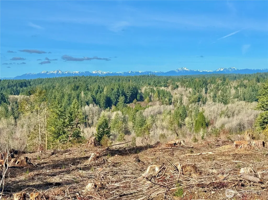 4324 183rd Avenue Ct SW Longbranch WA 98351