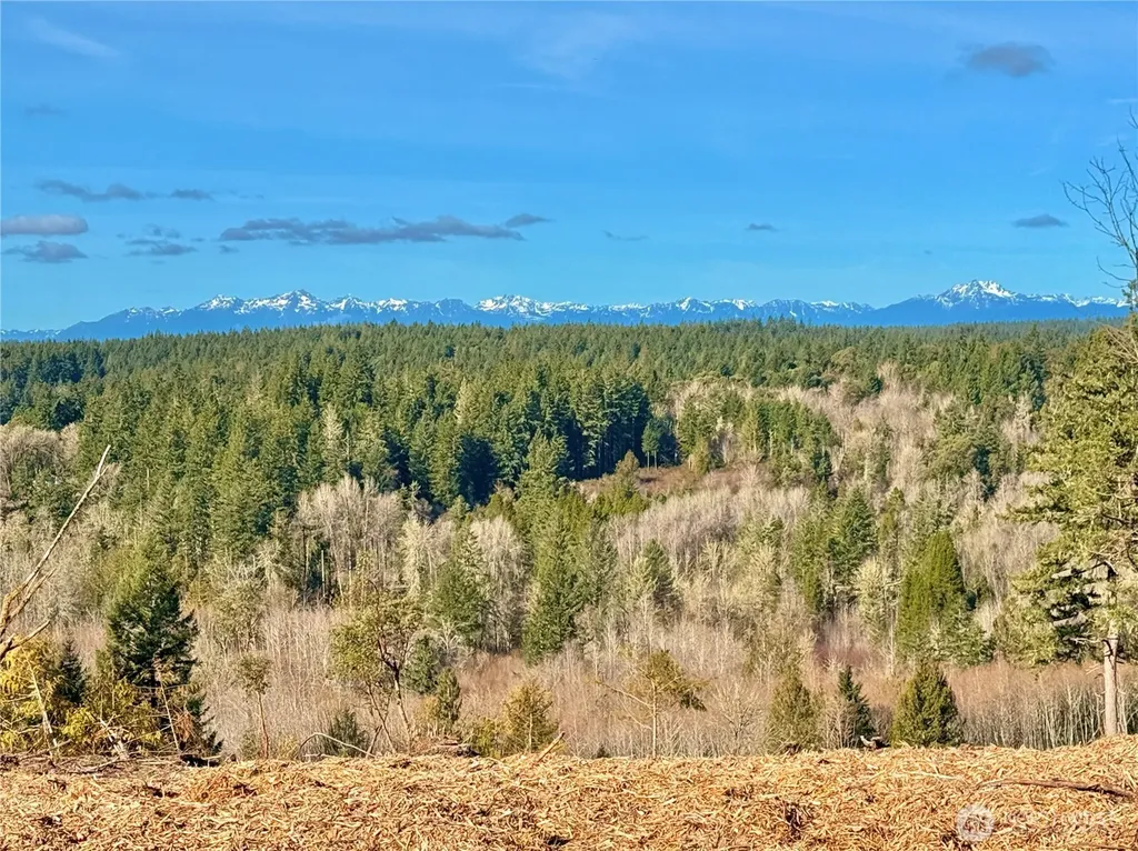 4324 183rd Avenue Ct SW Longbranch WA 98351