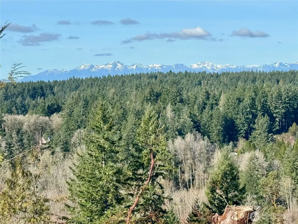 4324 183rd Avenue Ct SW Longbranch WA 98351