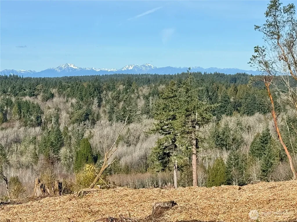 4324 183rd Avenue Ct SW Longbranch WA 98351