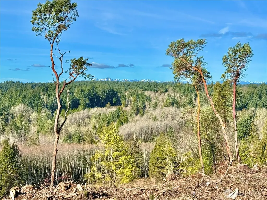 4324 183rd Avenue Ct SW Longbranch WA 98351
