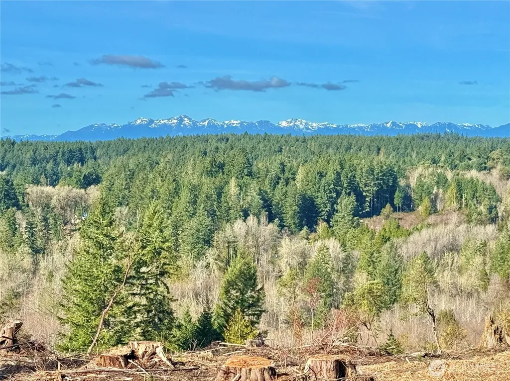 4324 183rd Avenue Ct SW Longbranch WA 98351