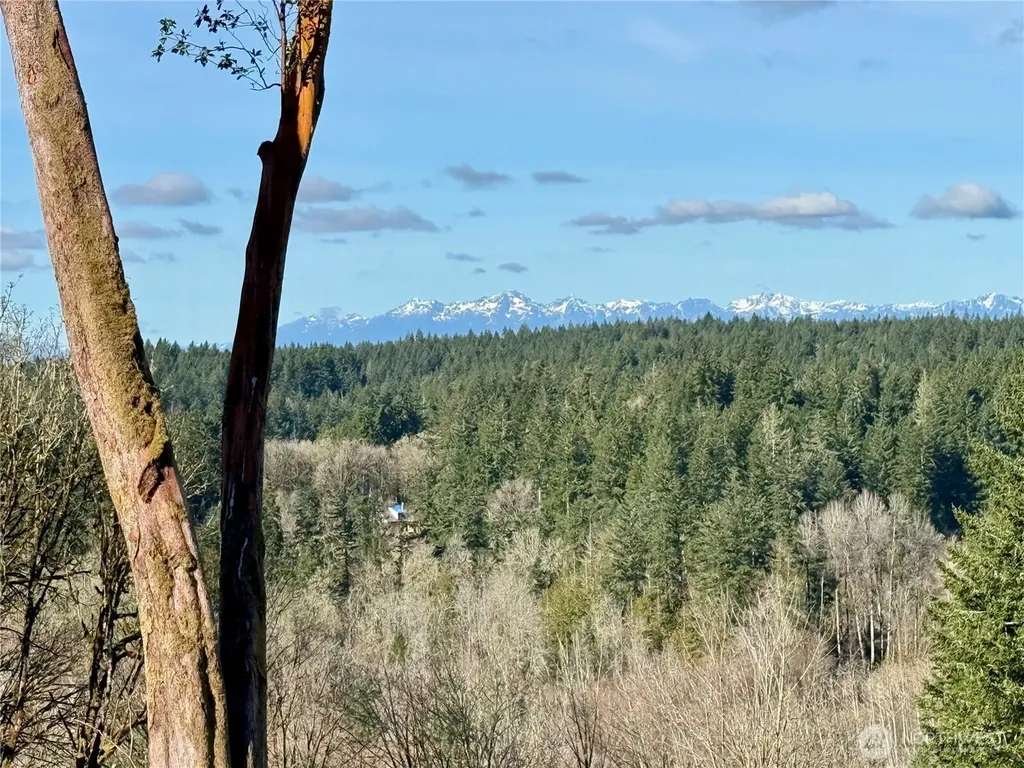 4324 183rd Avenue Ct SW Longbranch WA 98351