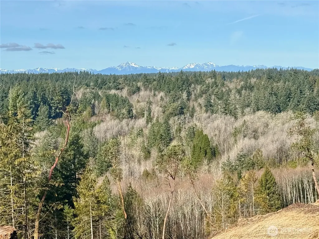 4324 183rd Avenue Ct SW Longbranch WA 98351
