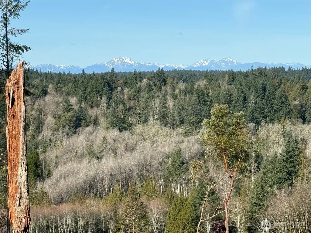 4324 183rd Avenue Ct SW Longbranch WA 98351