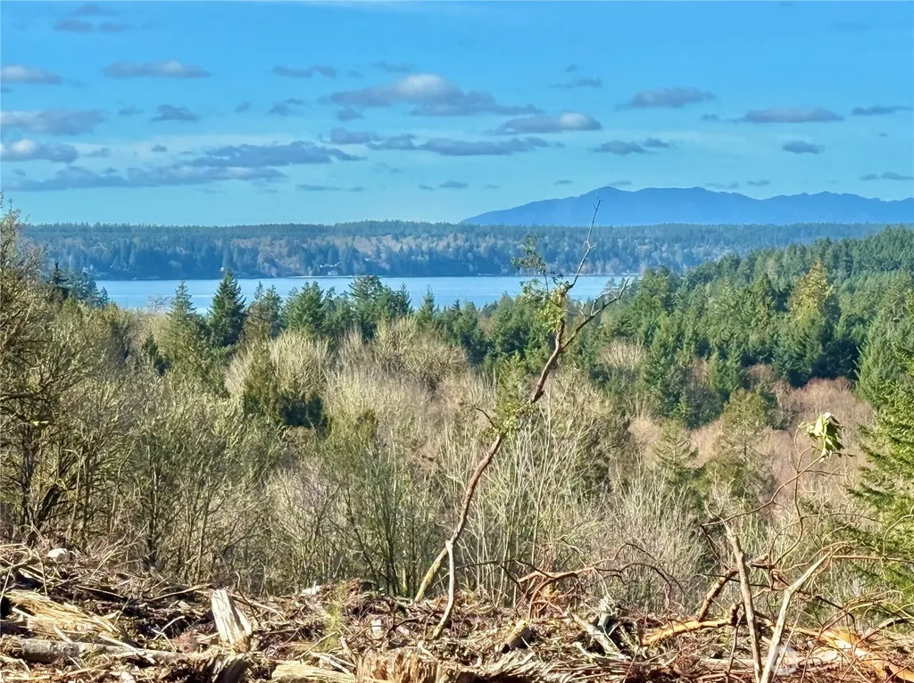 4324 183rd Avenue Ct SW Longbranch WA 98351