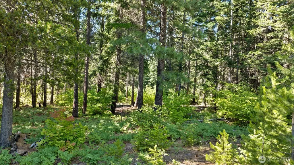 131 Goat Creek Lane Cle Elum WA 98922