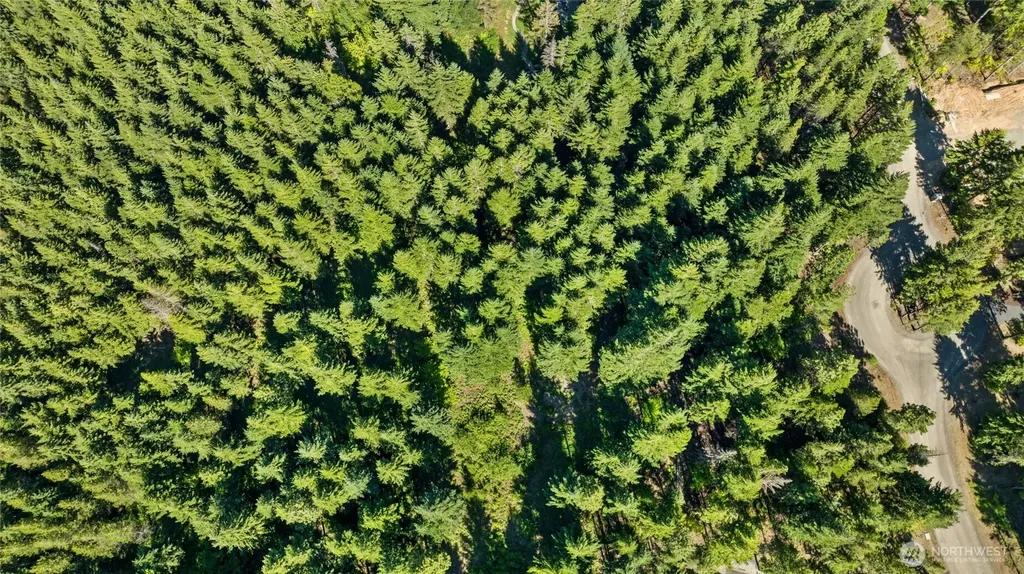 131 Goat Creek Lane Cle Elum WA 98922