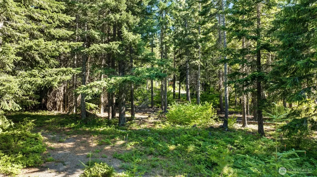 131 Goat Creek Lane Cle Elum WA 98922