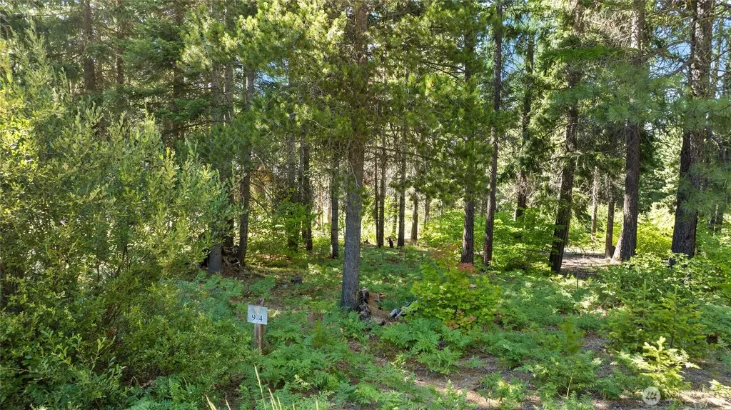 131 Goat Creek Lane Cle Elum WA 98922
